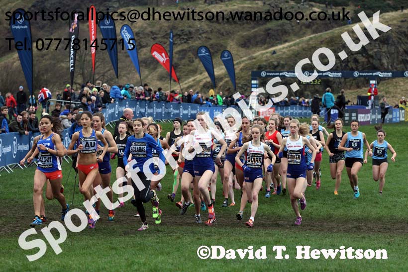 Junior womens Great Edinburgh Cross Country, 2017 Great Edinburgh Cross Country. Photo: David T. Hewitson/Sports for All PIcs
